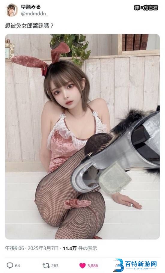 本站